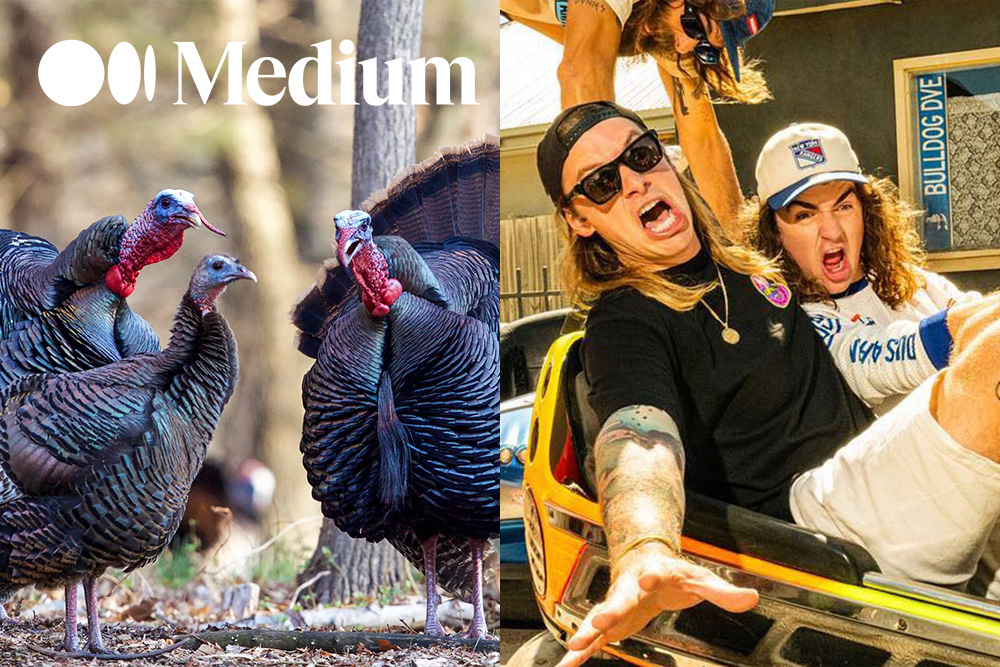 Split image of 3 turkeys on the left and Australian band Dune Rats on the right.